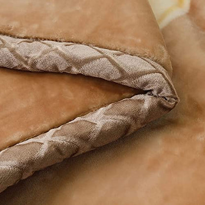 LGYKUMEG Korean Mink Blanket 71''×87'', Silky Soft and Warm - 2 Ply Reversible Raschel Single Bed Throw Blanket （180×220cm3kg） - color: Brown, size: 71x87in/6.6lb