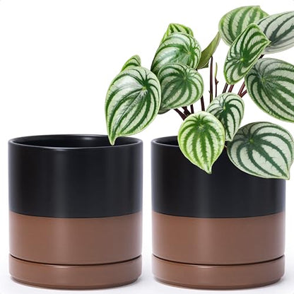 D'vine Dev 2-Pack Ceramic Pots with Saucers, Black/Tan, 6.5 in, 94-V-C-7 | Modern Cylinder Design, Glazed Ceramic, Drainage Hole & Saucer Included, High Temperature Fired, Elegant Home Accent - color: Black/Speckled Tan, size: 6 Inch