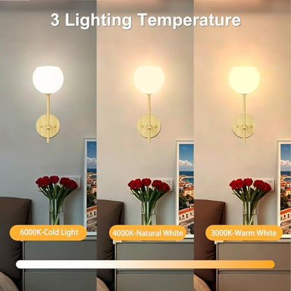Wood Grain Battery Operated Wall Sconces Set of 2, Rechargeable Wireless Wall Lights with Milky White Frosted Glass, 12 RGB and 3CCT Dimmable Wall Lamps with Remote for Bedroom Living Room Hallway - color: Wood Grain