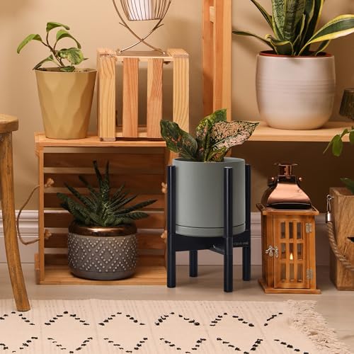 D'vine Dev Ceramic Pot with Ebony Wood Stand, Grey, 8 in, 55-B-M-3 | Mid-Century Modern Design, Raised Plant Display, Solid Beech Wood Stand, Premium Craftsmanship, Sophisticated Home Decor - color: Grey Pot + Ebony Stand, size: 8 Inch