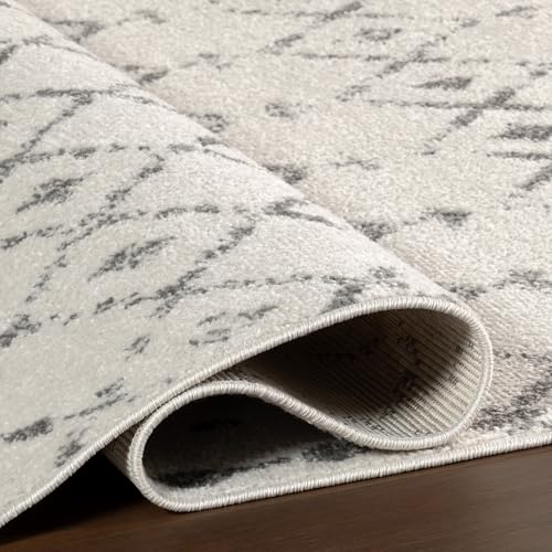 nuLOOM Blythe Grey Trellis Power Loomed Runner Rug, 2' x 10' - color: Blythe Grey, size: 2'6" x 10' (Rectangular)