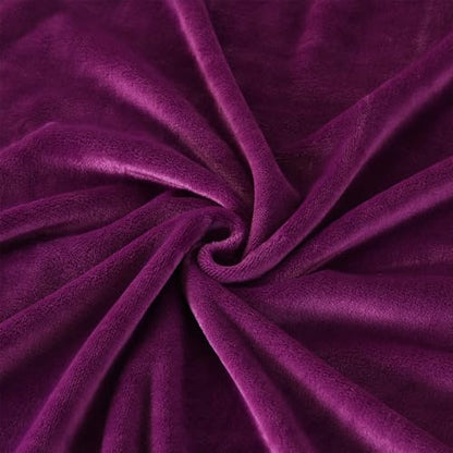TASTHROW Purple Throw Blanket 50x60 Inches | Soft PlushCozy Fleece Flannel Throw Blanket, Lightweight Warm Throws for Bed, Couch, Bedroom and Living Room, All Seasons - color: Purple, size: 50"x60"