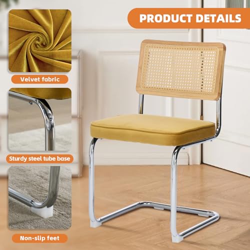 Rattan Dining Chairs Set of 6,Velvet Cesca Chair Kitchen Chair,Gold | VICBARLEY Mid Century Modern Dining Chairs,Wood Cane Backrest&Chrome Base,Upholstered Side Chair for Dining Room,Kitchen - color: Gold, size: Set of 6
