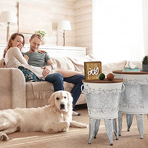 RUSTOWN Farmhouse Side Tables Set of 2, Galvanized Metal Bucket End Table | Storage Metal Bin with Round Wooden Lid, Accent Side Table, Rustic Antique Cocktail Table for Living Room, Bedroom, Outdoor - color: Distressed White