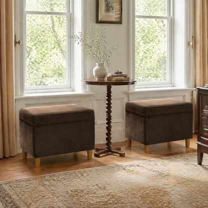 Spatial Order 24" Dinah Collection Storage Ottoman - Chocolate Brown Velvet - color: Chocolate Brown Velvet