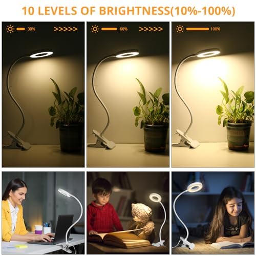 Woputne Desk Lamp Clip on Desk Reading Lights for Books in Bed (White) | With 5V 2A Adapter, 10 Dimmable Brightness 3 Modes, Clip on Light for Reading Home Office,Bed Headboard, Craft - size: White-1 Piece-Standard-With Adapter