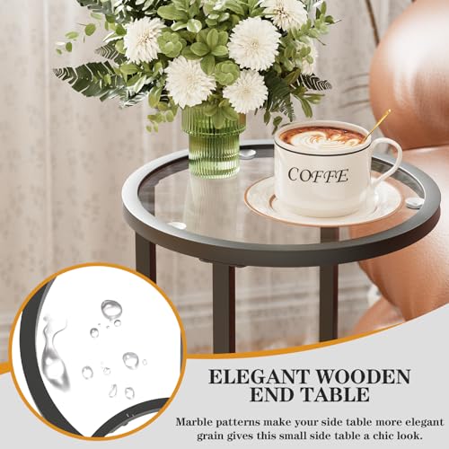 Easy Paws Round Side Table,Glass C Table,Couch End Table, Tempered Glass Snack Table with Metal Frame, Sofa Couch Bedside Table,TV Tray Table for Small Space(Black) - color: Black