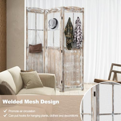 GOFLAME 3-Panel Folding Room Divider, 6FT Paulownia Wood Privacy Screen with Mesh Window, Natural Rustic Freestanding Wall Divider Partition for Room Separation, No Assembly Required
