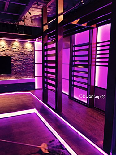 UL Listed, 20 Feet, 2100 Lumen, Pink, Dimmable, 110-120V AC Flexible Flat LED Strip Rope Light, 360 Units 3528 SMD LEDs, Indoor Outdoor Use, Accessories Included, Ready to use - color: Pink