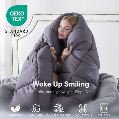KASENTEX Twin/Twin XL Comforter Set – Reversible Dual Color – Goose Down Alternative – Ultra-Soft, Lightweight, Machine Washable, Maintain Fluffiness, All Season Warmth (Quartz Silver/Pebble Grey) | 250 GSM Fill, Ultra-Soft, Lightweight, Machine Washable,