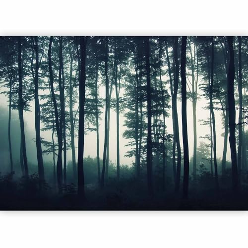 Wall Mural Forest 116x83 in - Peel and Stick Self-Adhesive Wallpaper Removable Large Sticker Foil Wall Decor Print Picture Image Design Landscape Nature Tree Sun c-B-0223-a-a - color: #11, size: 83"x116"