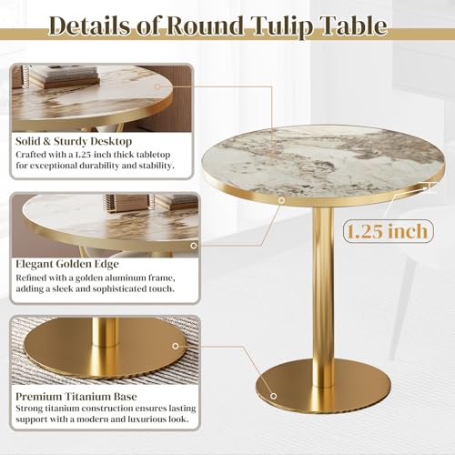 31.5" Circle Tulip Table with Sintered Stone Tabletop, Gold Edge & Pedestal | Modern Round Dining Table, Leisure Bistro Table for Kitchen, Small Places, Living Room, Cafe, Restaurant (Platinum Cloud) - color: Platinum Cloud (Golden Edge), size: Round
