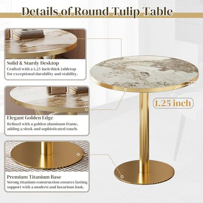 31.5" Circle Tulip Table with Sintered Stone Tabletop, Gold Edge & Pedestal | Modern Round Dining Table, Leisure Bistro Table for Kitchen, Small Places, Living Room, Cafe, Restaurant (Platinum Cloud) - color: Platinum Cloud (Golden Edge), size: Round