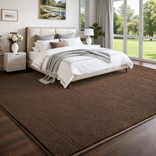Nuttumico 4x6 Feet Area Rugs for Bedroom Living Room, Modern Soft Dark Brown Rug, Thickened Memory-Foam Indoor Carpet, Minimalist Carpets for Boys Girls, Non-Slip and Machine-Washable - color: Dark Brown, size: 4' X 6' (Rectangular)