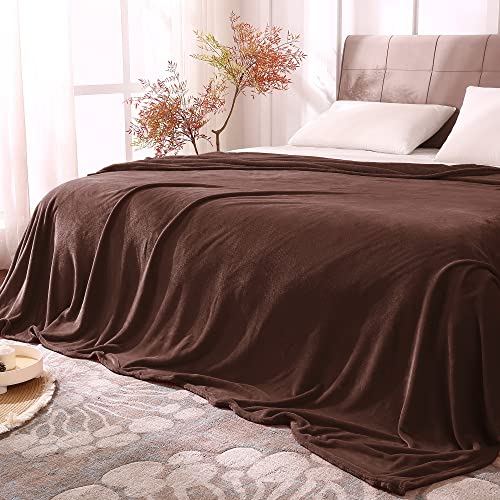 BEDELITE Fleece Blanket Soft Plush Queen Size Bed Blanket Brown 90"x90" | Ultra Soft Fleece, Plush Microfiber, Lightweight Warmth, All Season Comfort, Fade Resistant, Machine Washable,Perfect for Bed - color: Brown, size: Queen(90"x90")