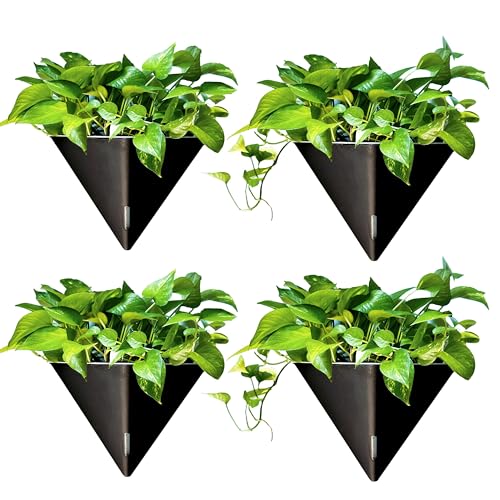LaLaGreen Wall Planter for Indoor (12in, 4 Pack) Large Self Watering Plants | Black Geometric Hanging Flower Vase Vessel with Metal Hanger, Modern Stylish Wall Mounted Succulent Pot Holder Decor - color: Black X 4 Pack