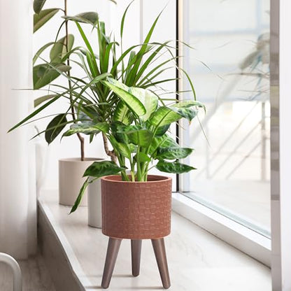 D'vine Dev Planter Pot with Wood Stand, 8 in, Terra Cotta, 88-Z-A-3 | Mid-Century Modern Style, Elevated Plant Display, Drainage Hole and Plug, Functional & Stylish, Modern Indoor Planter - color: Terra Cotta, size: Small