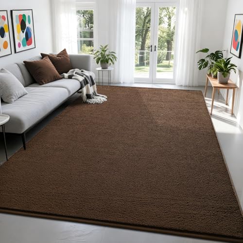 Nuttumico 4x6 Feet Area Rugs for Bedroom Living Room, Modern Soft Dark Brown Rug, Thickened Memory-Foam Indoor Carpet, Minimalist Carpets for Boys Girls, Non-Slip and Machine-Washable - color: Dark Brown, size: 4' X 6' (Rectangular)