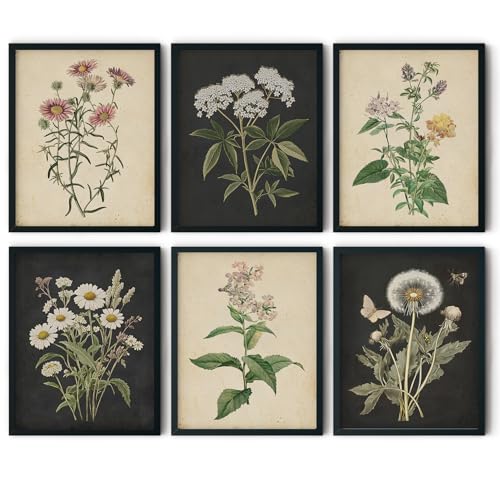 CEXYLVXR 6Pcs Vintage Botanical Wall Art Set Wildflower Herb Canvas Prints Rustic Farmhouse Wall Decor Pictures Dark Botanical Floral Painting for Living Room Bedroom Bathroom (8x10in Posters) - size: 8L" x 10W"