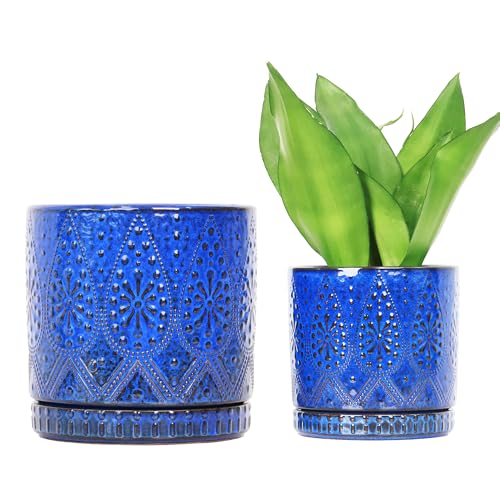 8 Inch + 6 Inch Indoor Plant Pot with Drainage Holes and Saucers, Ceramic Planter for Plants Succulent Orchid Flower Pots - color: Blue, size: 8Inch+6Inch