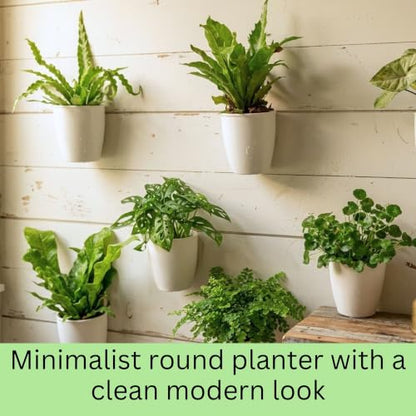 LaLaGreen Wall Planter for Indoor Plants (5in, 10 Pack) White Self-Watering | Wall Mounted Living Hanging Eco Wall Planter System, Trendy Live Wall Garden for Herb - size: 5" (12.5 cm)