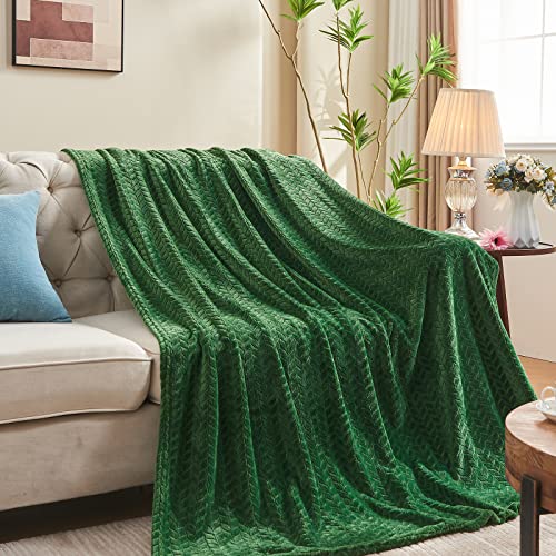 inhand Fleece Twin Blanket for Bed Green Throw Blanket for Couch Super Soft Cozy Warm Blankets and Throws Lightweight Fuzzy Large Blanket for Sofa Bed Office,60x90 inches - color: A-green, size: Twin/Twin XL-60x90 IN
