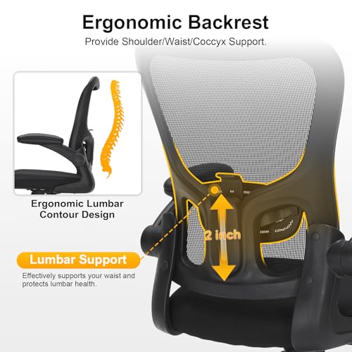 Ergonomic Mesh Office Chair with Adjustable Lumbar Support, Flip-Up Arms & Rolling Swivel Base, Breathable Computer Desk Chair for Home Office, Study & Remote Work, Black
