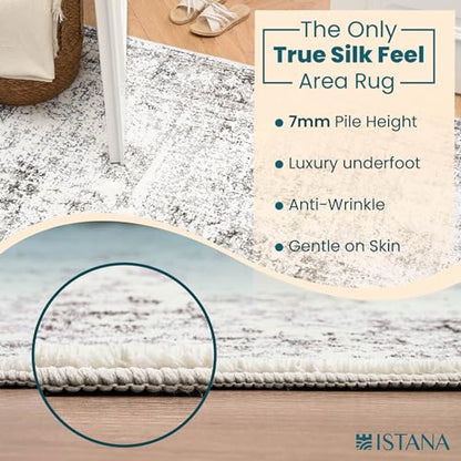 Grey & Beige 3x5 Area Rug - Kid & Pet Friendly, Washable - Istana - color: Misty Grey, size: 3' x 5' (Rectangular)
