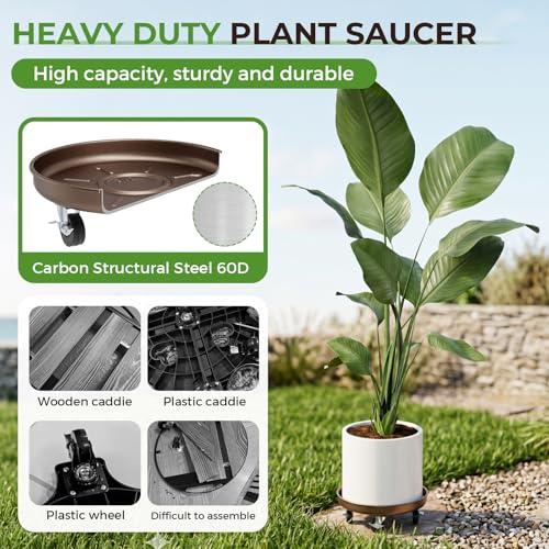 Plant Caddy With Wheels 12" Metal Plant Saucers for Indoors 310 Lb Capacity | Rolling Plant Stand, 360° Locking Casters Heavy Duty Planter Caddies, Rustproof and Waterproof, and Easy to Move, 1 Pack - size: 1 PACK 12 INCH
