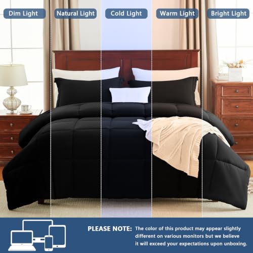 Super King Plus Comforter Set, 3-Piece Box-Stitched, Black | 128 x 120 in Maximum Coverage in the Collection, 270 GSM Fill, 90 GSM Brushed Microfiber Shell, OEKO-TEX Certified - color: Black, size: Super King Plus(128"x120")