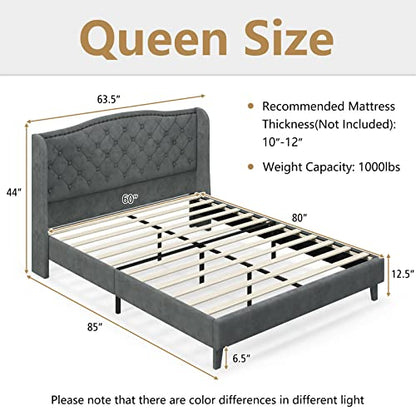 Upholstered Queen Bed Frame w/Wood Slats & Noise-Free EVA Foam | Velvet Mattress Foundation, Button Tufted Wingback Headboard, No Box Spring Needed, Low Platform Bed Frame - size: Queen (U.S. Standard)