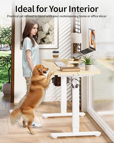 BIZUM Standing Desk Electric Adjustable Computer Desk-Stand up Desk Office Gaming Home Office Memory Desks 48x24 inches Maple - color: Maple, size: 47.2*23.6 Inch
