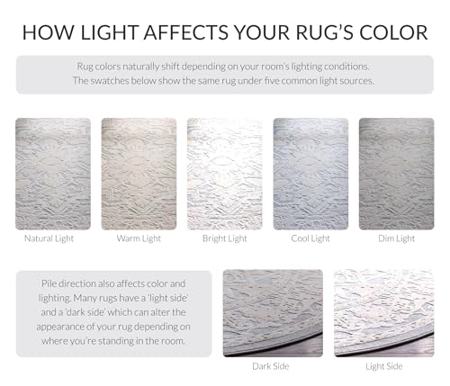 SAFAVIEH Reflection Collection Accent Rug - 2'3" x 4', Light Grey & Cream, , Non-Shedding & Easy Cleaning, Ideal for Foyer, Living Room, Bedroom (RFT665C) - color: Light Grey/Cream, size: 2'3" x 4' (Rectangular)