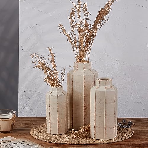 Ceramic Rustic Farmhouse Vase Set of 3,Ice Cracked Glazed Terracotta Vase | Large Vases for Decor,Fall Decoratiion Vases for Home, Table, Living Room, Shelf - color: 18096lms-ec-beige