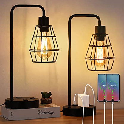 BTY USB Edison Table Lamp Set of 2, Bedside Nightstand Desk Lamps with Dual USB Charging Ports and 2 Prong AC Outlet Metal Wire Cage Industrial Reading Table Lamp for Bedroom Living Room Farmhouse - size: CAGE 1