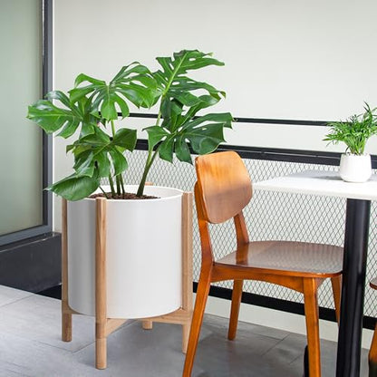 D'vine Dev Plastic Pot with Natural Wood Stand, White, 16 in, 55-C-Y-1 | Mid-Century Inspired Design, Elevated Plant Display, Clean Lines, Sturdy Support, Modern Space-Saving Style - color: Matte White Pot + Natural Stand, size: 16 Inch