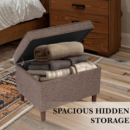 Spatial Order 24" Dinah Collection Storage Ottoman - Chocolate Brown - color: Brown