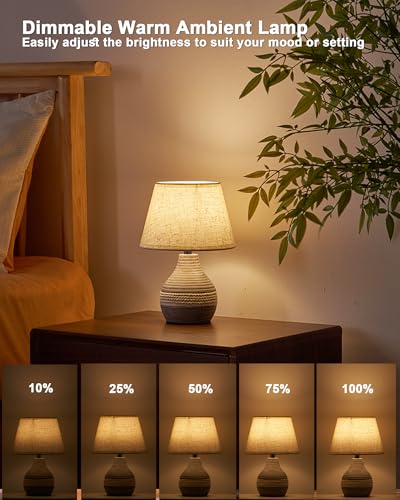 UMEXUS 10" Small Ceramic Cordless Table Lamp, Rechargeable Battery, Coastal | Timer, Dimmer, Linen Shade, Remote Control RGB & Warm Lights, Farmhouse Home Decor Kitchen Counter Living Room Side Table - size: 10"H Mini - Rope accent design