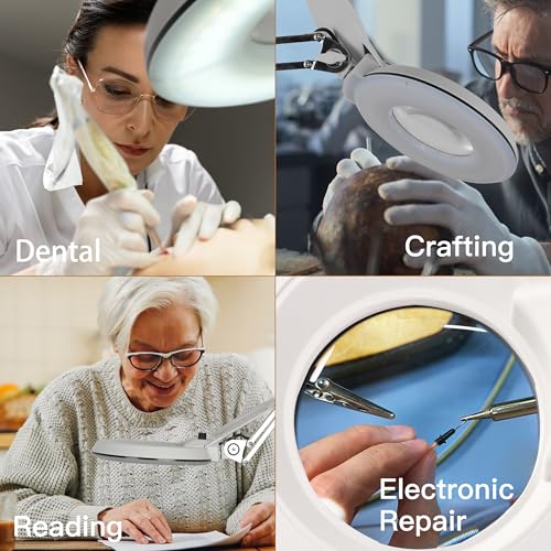 Magnifying Glass with Light and Clamp,10X Lighted Magnifying Glass Lamp LED Dimmable,5 Inches Lens with Stainless Steel Arm for Reading,Craft,Painting and Close Work(White Cover) - style: Modern