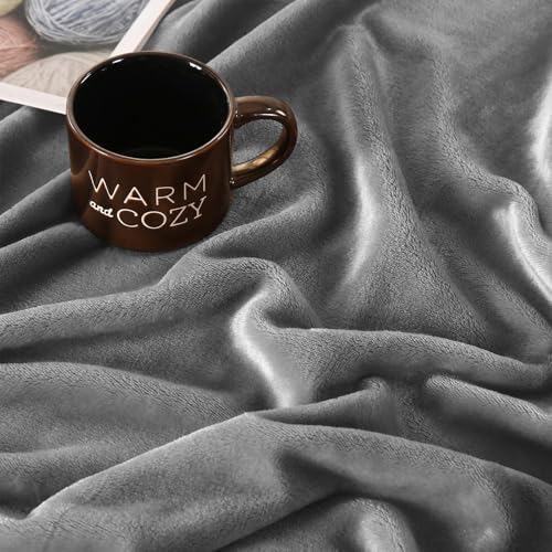 TASTHROW Lightgrey Throw Blanket 50x60 Inches | Soft Plush Cozy Fleece Flannel Throw Blanket, Lightweight Warm Throws for Bed, Couch, Bedroom and Living Room, All Seasons - color: Lightgrey, size: 50"x60"
