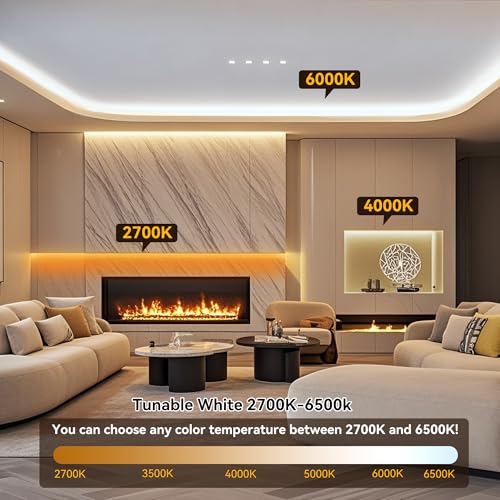 Pandery COB LED Strip Light,CCT Dimmable Strips Light,2700K-6500K,50ft/15m,8mm Wide,CRI90+ 24V LED Strips Kit with Bluetooth APP Control/Music Mode,for Bedroom,Kitchen,DIY Lighting - size: 50FT
