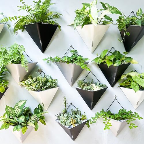 LaLaGreen Succulent Wall Planters (12in, 2 Pack) Large Self Watering Pots | Wall Hanging Planters for Indoor Plants Gray Wall Mount Triangle Geometric Flower Vase Black Metal Hanger Living Wall Decor - color: Gray X 2 Pack