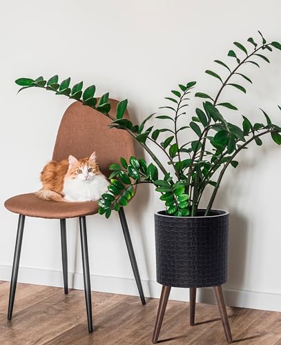 D'vine Dev Planter Pot with Wood Stand, 12 in, Distressed Black, 88-Z-C-5 | Mid-Century Modern Style, Elevated Plant Display, Drainage Hole and Plug, Functional & Stylish, Modern Indoor Planter - color: Distressed Black, size: Large