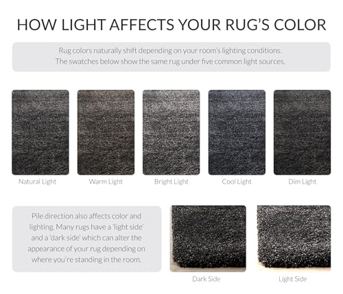 SAFAVIEH Milan Shag Collection Area Rug - 2' x 4', Dark Grey, Solid Design, Non-Shedding & Easy to Clean, Plush Thick Pile, Ideal for Foyer, Bedroom, Accent Space (SG180-8484) - color: Dark Grey, size: 2' x 4' (Rectangular)
