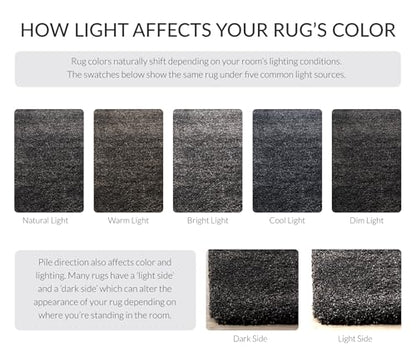 SAFAVIEH Milan Shag Collection Area Rug - 2' x 4', Dark Grey, Solid Design, Non-Shedding & Easy to Clean, Plush Thick Pile, Ideal for Foyer, Bedroom, Accent Space (SG180-8484) - color: Dark Grey, size: 2' x 4' (Rectangular)