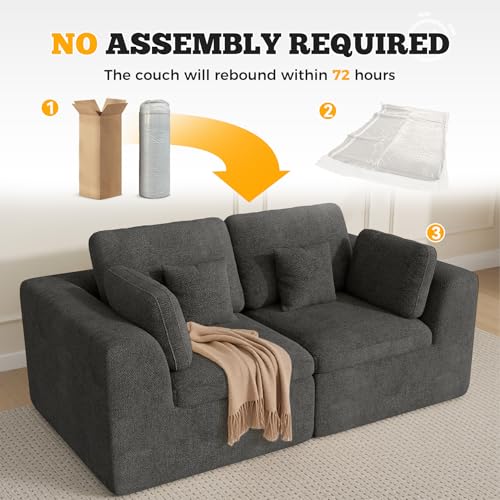 Luxanimarion 85'' Loveseat Sofa, Cloud Boneless Couches for Living Room, 2 Seater Modular Sectional Sofa,Oversized,DarkGary Chenille - color: Dark Gary, size: Love Seat