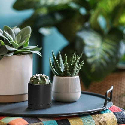 D'vine Dev 2-Pack Ceramic Pots with Saucers, Black, 3.5 in, 94-V-A-2 | Modern Cylinder Design, Glazed Ceramic, Drainage Hole & Saucer Included, High Temperature Fired, Elegant Home Accent - color: Black, size: 3.5 Inch
