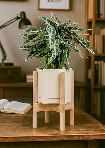 D'vine Dev Ceramic Pot with Natural Wood Stand, Oatmeal, 8 in, 55-B-N-8 | Mid-Century Modern Design, Raised Plant Display, Solid Beech Wood Stand, Premium Craftsmanship, Sophisticated Home Decor - color: Oatmeal Pot + Natural Stand, size: 8 Inch