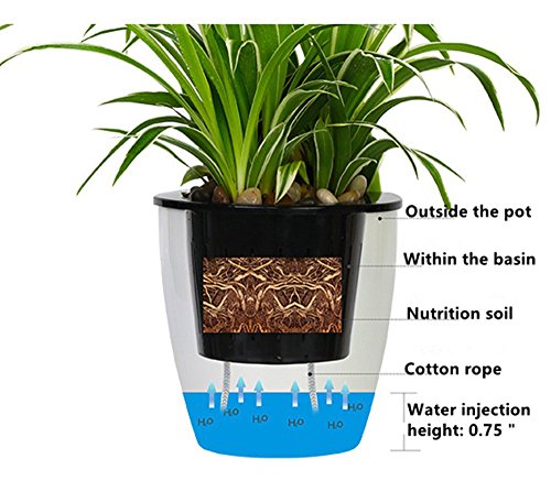 5 Pack Visible Water Level Self Watering Planter with Inner Pot,Hanging Planters,Wall Mounted Plants Holder,Small Flower pots Indoor Out Flowerpot with 5 Hooks for All House Plants (White) - size: 4.25 Inch