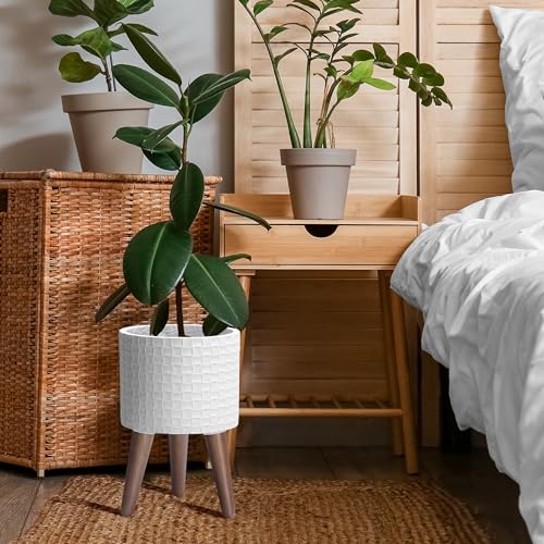 D'vine Dev Planter Pot with Wood Stand, 8 in, Matte White, 88-Z-A-1 | Mid-Century Modern Style, Elevated Plant Display, Drainage Hole and Plug, Functional & Stylish, Modern Indoor Planter - color: Matte White, size: Small